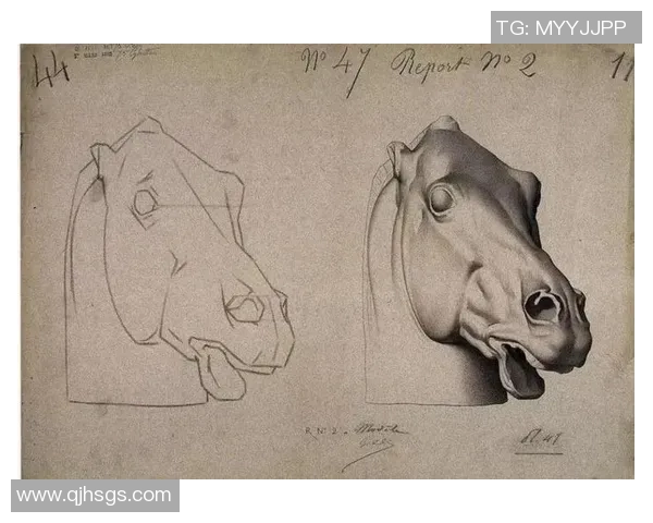 足球明星素描：描绘绿茵场上的传奇与荣耀，展现他们背后的故事与激情